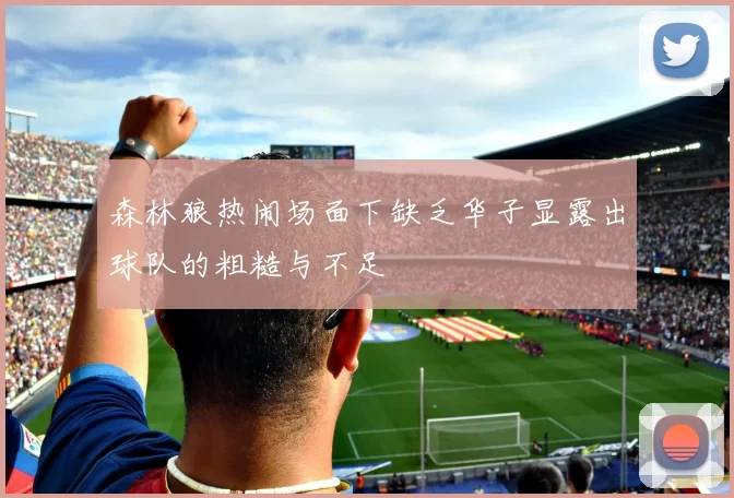 森林狼热闹场面下缺乏华子显露出球队的粗糙与不足